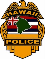 hawaii_badge_in_black_line_-1