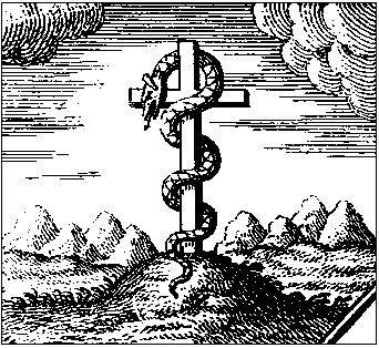 Stacks Image 1532