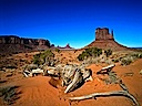 deserts